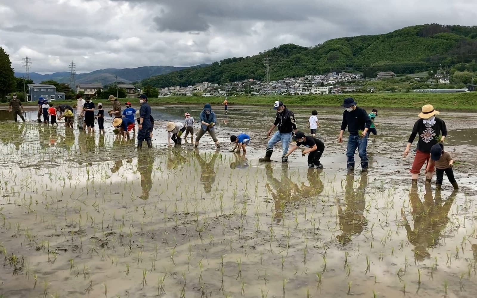 【長野県】「いきものみっけファーム in 松本」が2年振りの開催!中島屋降籏米穀(長野県)が主導する環境学習型体験プログラム