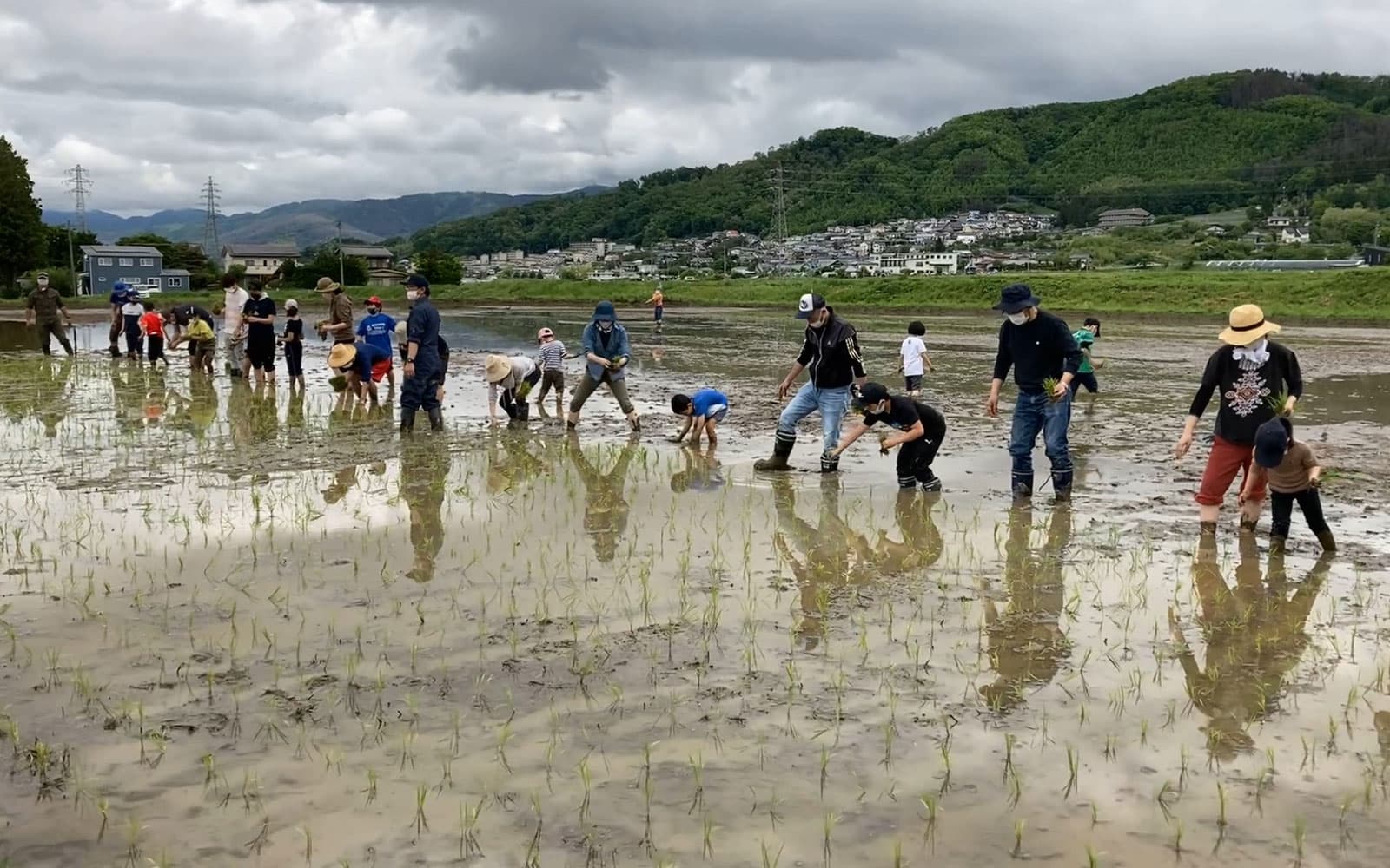 【長野県】「いきものみっけファーム in 松本」が2年振りの開催！中島屋降籏米穀(長野県)が主導する環境学習型体験プログラム